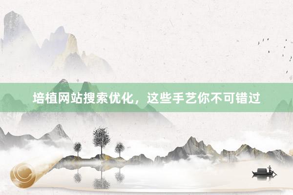 培植网站搜索优化，这些手艺你不可错过