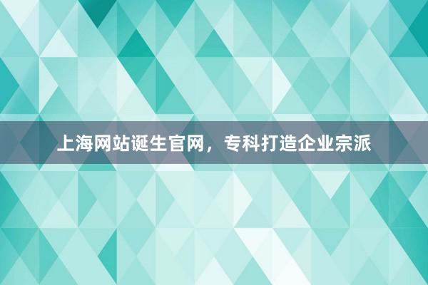 上海网站诞生官网，专科打造企业宗派