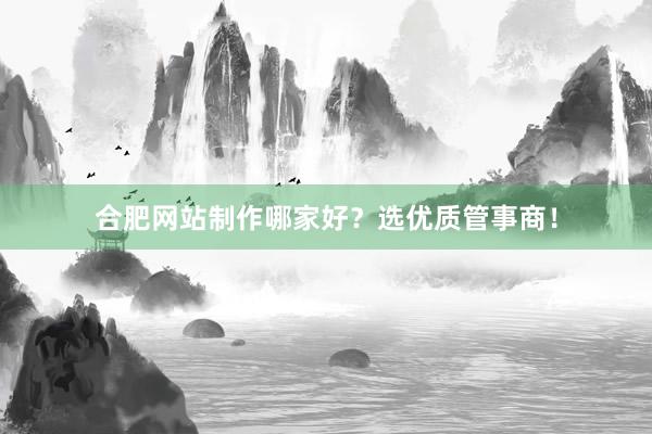 合肥网站制作哪家好？选优质管事商！